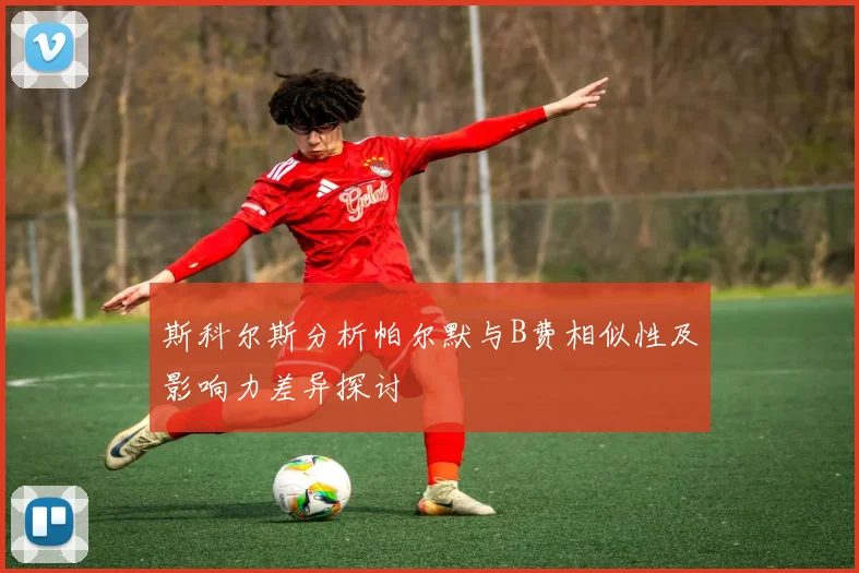 斯科尔斯分析帕尔默与B费相似性及影响力差异探讨